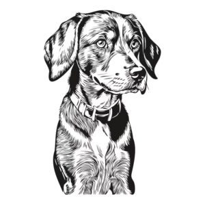 Cosmétiques canins